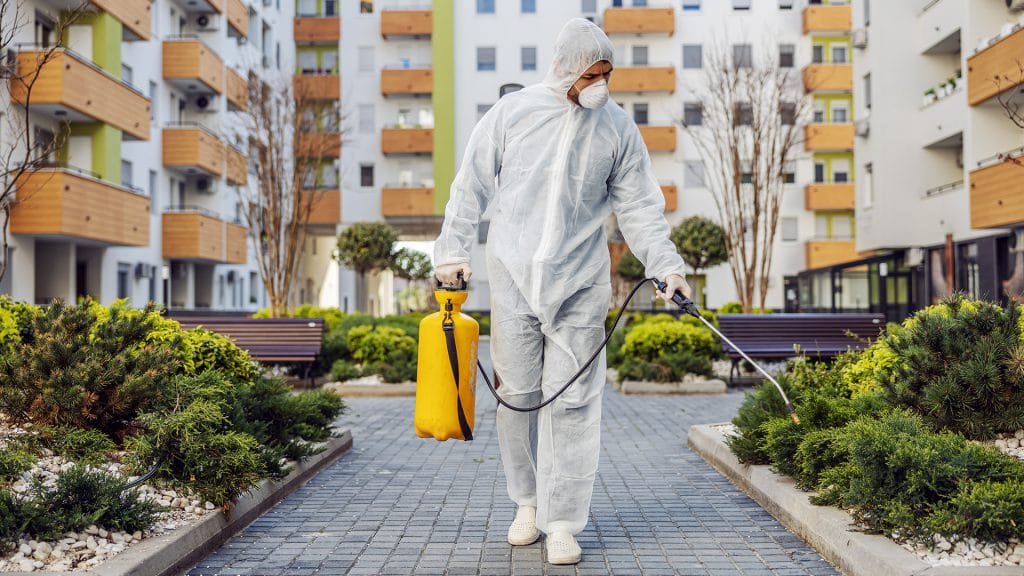 הדברה ביתית